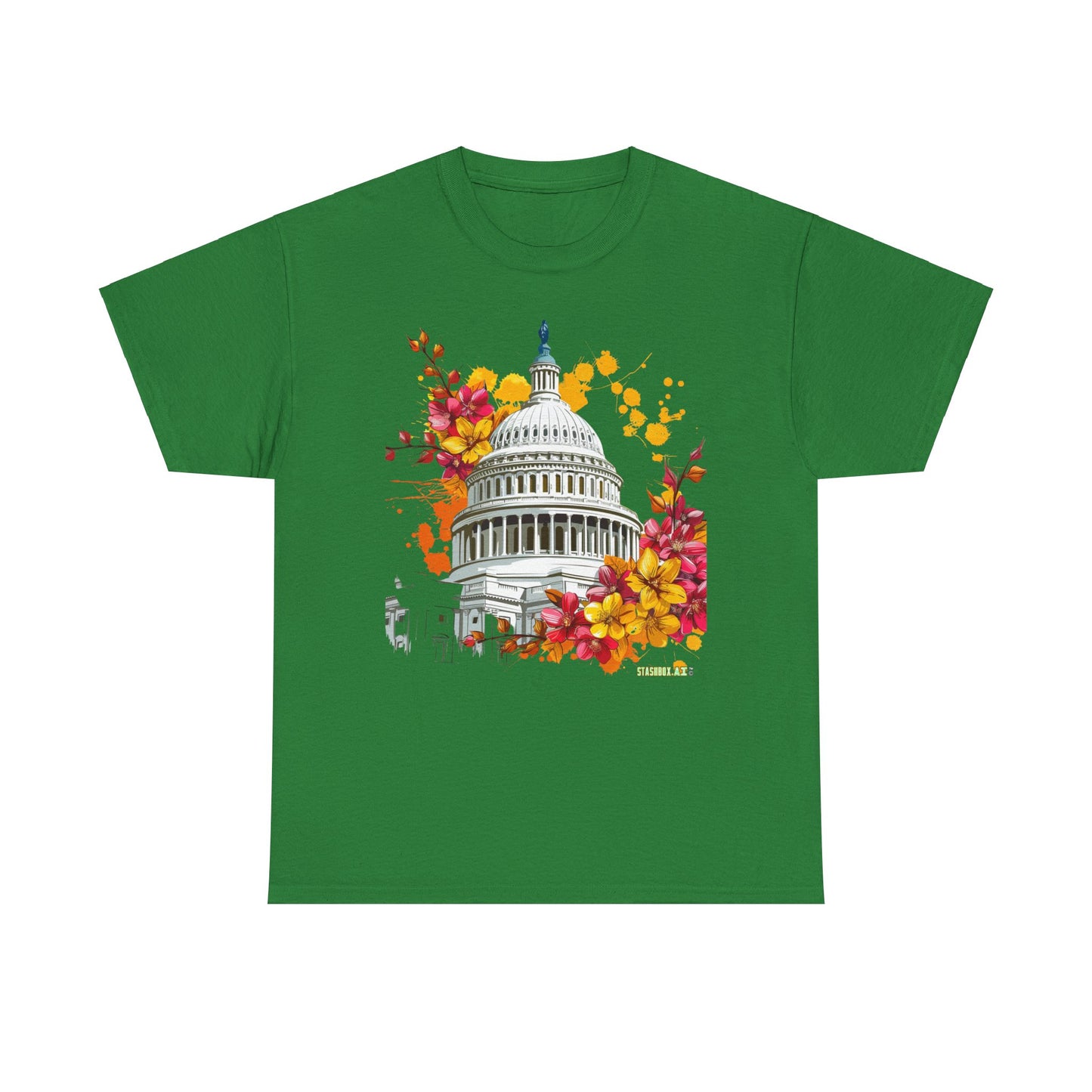 Unisex Heavy Cotton TShirt Washington DC 001