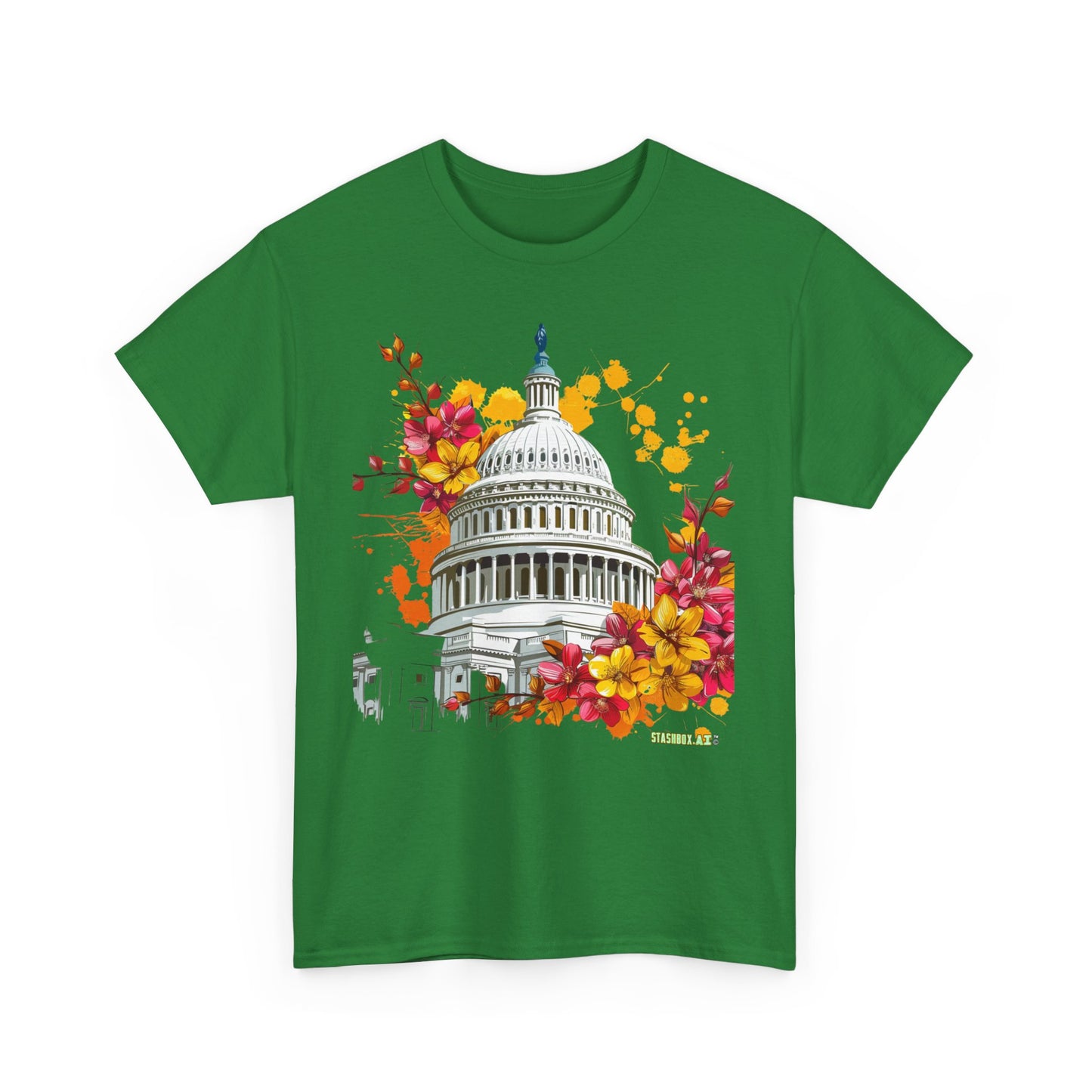 Unisex Heavy Cotton TShirt Washington DC 001